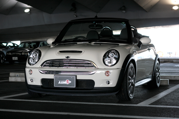 217 MINI4 IMG_3329.jpg